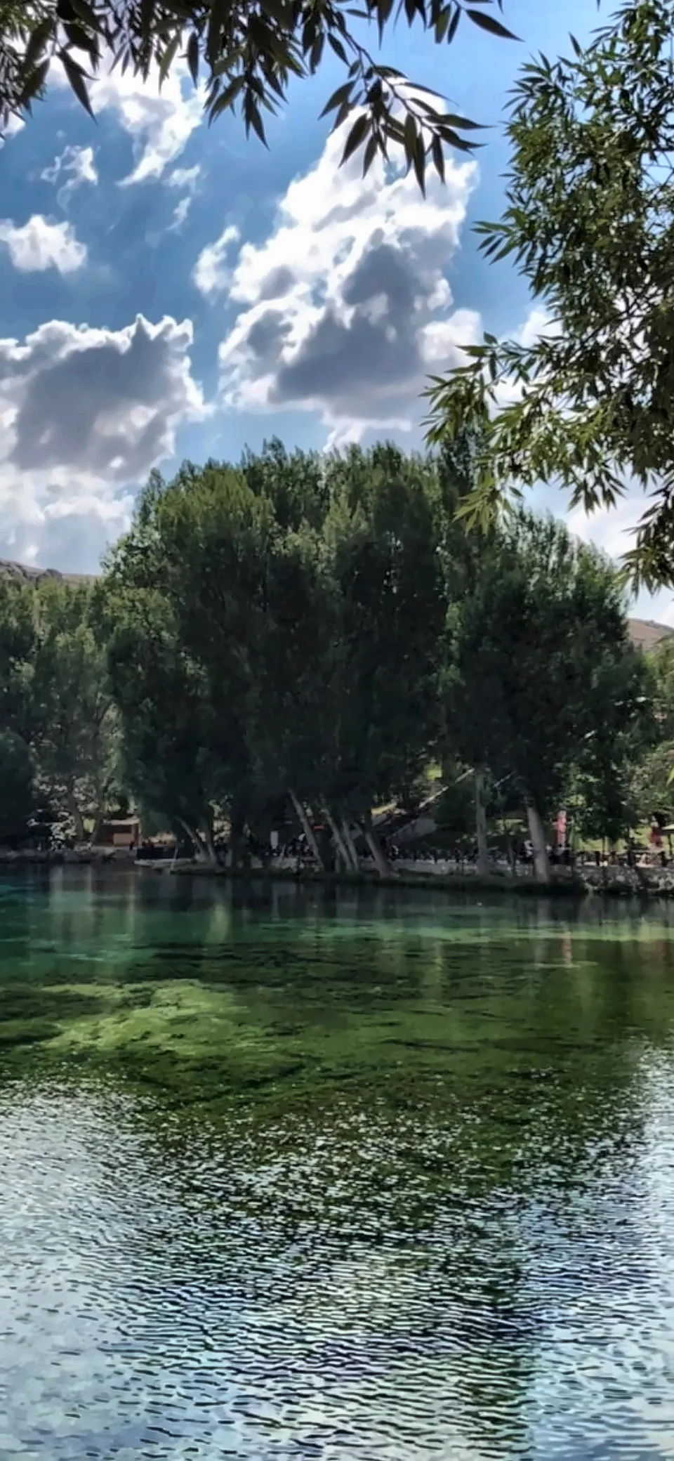 Durgun suyun kıyısında ağaçlar ve bulutlu mavi gökyüzü.